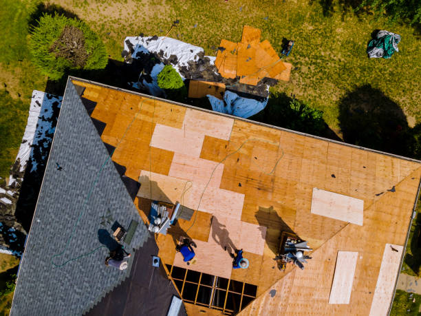 Best Roof Installation Near Me  in Steger, IL