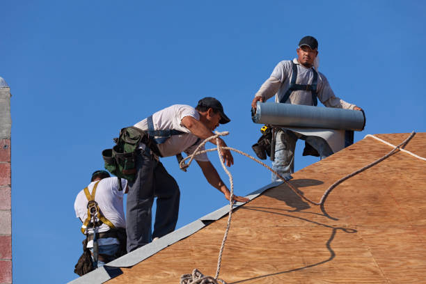Best Local Roofing Companies  in Steger, IL