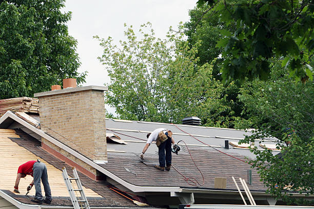 Best Metal Roofing Contractor  in Steger, IL