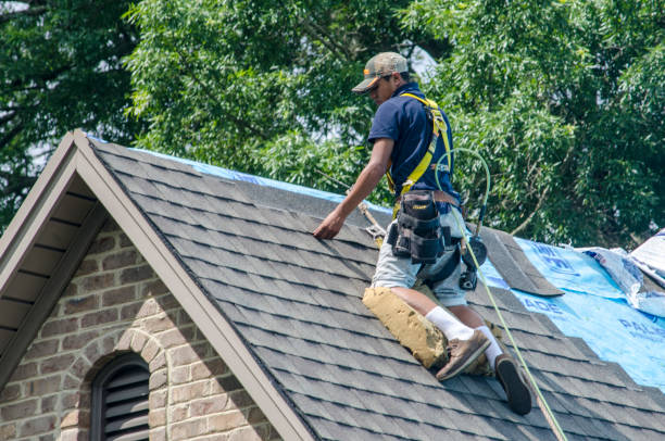 Roof Installation Near Me in Steger, IL